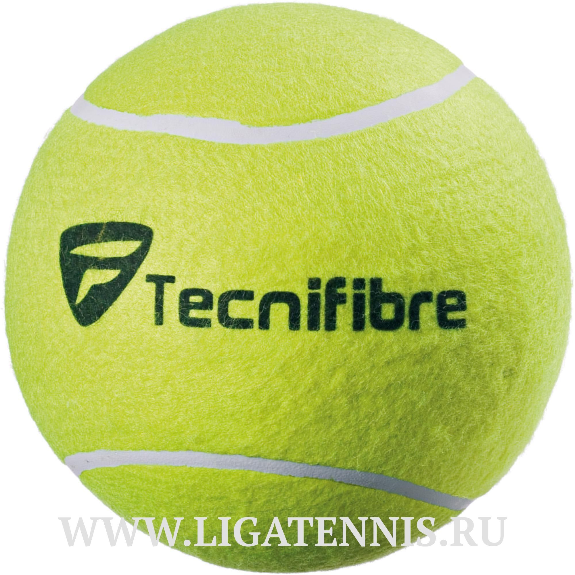 картинка Теннисные мячи Tecnifibre Jumbo x1 от магазина Высшая Лига